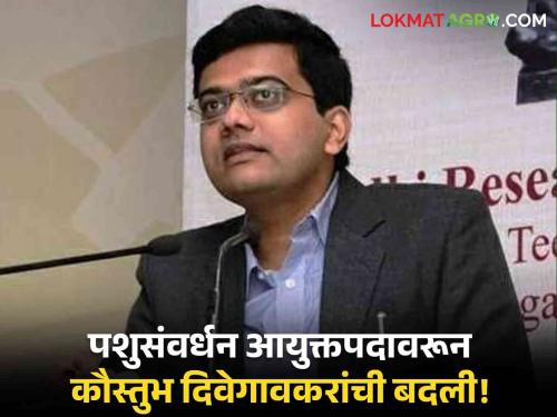 Kaustubh Diwegaonkar : Transfer of Animal Husbandry Commissioner Kaustubh Diwegaonkar! Appointment in wearhousing Corporation | Kaustubh Diwegaonkar : पशुसंवर्धन आयुक्त कौस्तुभ दिवेगावकर यांची बदली! वखार महामंडळावर नियुक्ती