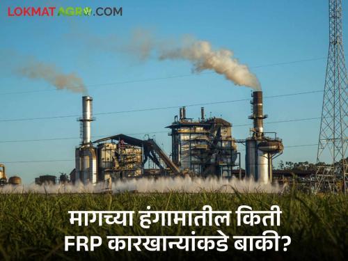 FRP : Which are the sugarcane money owed factories? How much FRP amount left? | FRP : उसाचे पैसे बाकी असलेले कारखाने कोणते? किती FRP रक्कम बाकी?