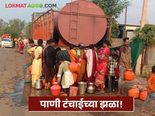 Water Crisis 37 villages in Jalgaon district face shortage; Water supply through 8 tankers, only 35 percent water storage left | Water Crisis : जळगाव जिल्ह्यात 37 गावांना टंचाईची झळ; 8 टँकरने पाणीपुरवठा, उरला केवळ 35 टक्के जलसाठा