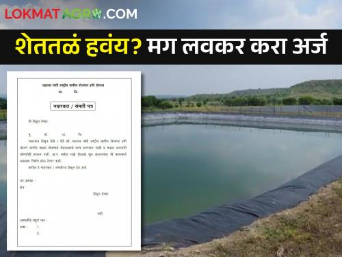 How many farmpond have been completed in the state so far? Application can be done 'here'. | राज्यात आतापर्यंत किती शेततळी पूर्ण झाली? 'इथे' करता येणार अर्ज..