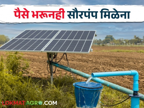 Farmers are expressing their anger about not getting solar pump even after paying money | पैसे भरूनही सौर पंप मिळेना, शेतकऱ्यांकडून व्यक्त होतोय संताप