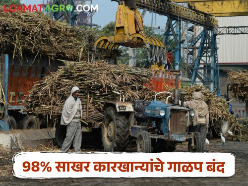 98% of sugarcane crushing mills in the state stopped Only 6 sugar factories are open | राज्यातील ९८% साखर कारखान्यांचे गाळप थांबले! केवळ ६ साखर कारखाने सुरू 