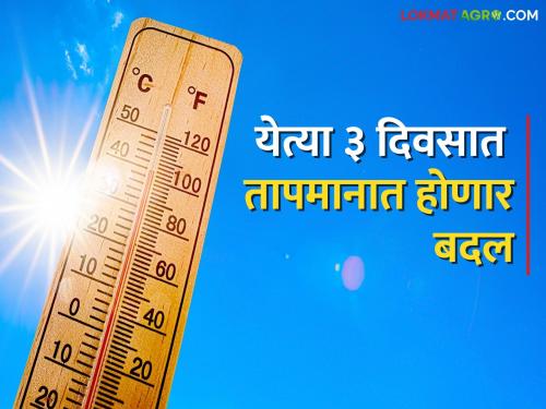 What will be the change in temperature in the next three days, what has been predicted by the Meteorological Department department wise? | येत्या तीन दिवसात तापमानात होणार बदल, हवामान विभागाने विभागनिहाय काय दिला अंदाज?