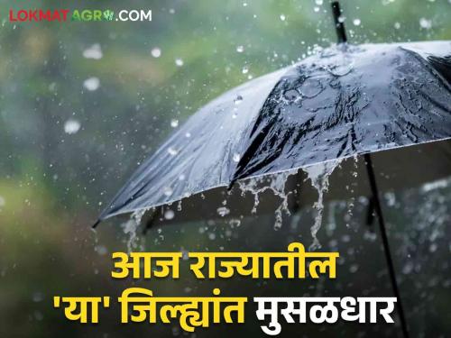 Maharashtra Rain : Heavy, heavy to light showers! Where will it rain in the state today? | Maharashtra Rain : मुसळधार, अतिजोरदार ते हलक्या सरी! राज्यात आज कुठे पडणार पाऊस?