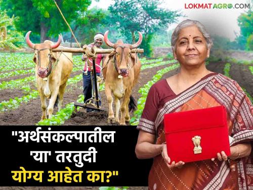 Union Budget 2024 nirmala sitaraman agriculture farmer benifit schemes double income | Union Budget 2024 : "कृषी विकासदर घसरला, डब्लिंग इन्कमची परत घोषणा! ही तरतूद योग्य आहे का?"