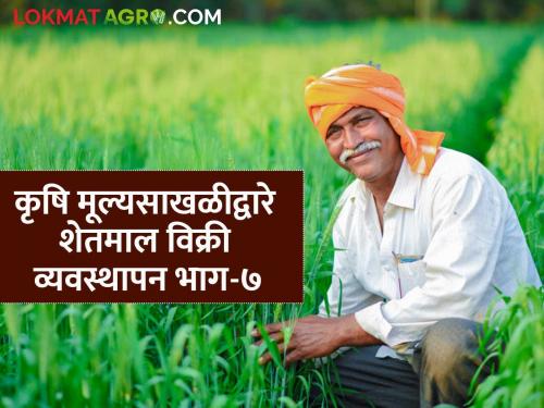 Agriculture Value Chain Development: Management of agricultural product sales through agricultural value chain through farmer companies and cooperatives | Agriculture Value Chain Development : शेतकरी कंपन्या व सहकारी संस्थांमार्फत कृषि मूल्यसाखळीद्वारे शेतमाल विक्री व्यवस्थापन
