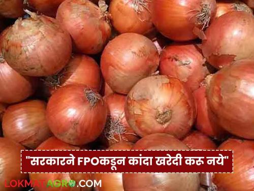central government should purchase onions directly from the market committee; not through FPOs" | Onion : "केंद्र सरकारने थेट बाजार समितीतूनच कांदा खरेदी करावी; एफपीओच्या माध्यमातून नको"