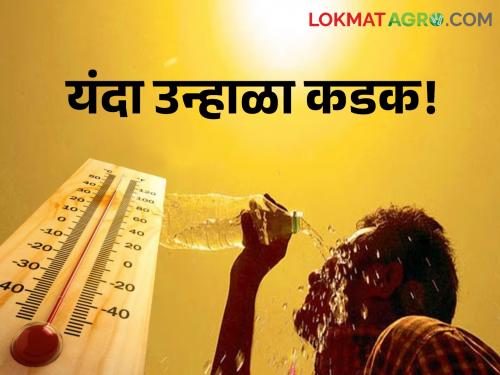 This summer is harsh in the state! Heat wave coming in different areas, what did the weather department say? | राज्यात यंदा उन्हाळा कडक! विविध भागात येणार उष्णतेची लाट, काय सांगितलं हवामान खात्यानं?