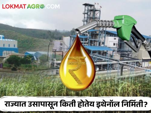 Ethanol Production: Ethanol production decreased! Variation of 20 crore liters in production from sugar mills | Ethanol Production : इथेनॉल उत्पादन घटले! साखर कारखान्यांकडून उत्पादनात २० कोटी लीटरची तफावत