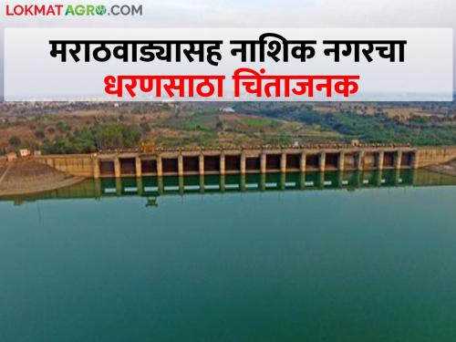 Todays dam water:14.17 percent water storage in Marathwada, how much dam storage is left in Nashik, Pune? | Todays dam water: मराठवाड्यात १४.१७ टक्के पाणीसाठा, नाशिक, पुण्यात किती धरणसाठा शिल्लक?
