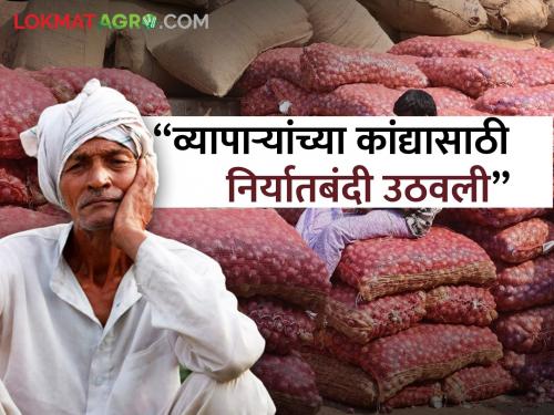 Onion Export banned Farmers run out of onions export ban lifted for onion from traders Farmers angery | Onion Export Ban Lift : "व्वा रे सरकार! शेतकऱ्यांचा कांदा संपला, व्यापाऱ्याकडील कांद्यासाठी निर्यातबंदी उठवली"; शेतकऱ्यांचा संताप