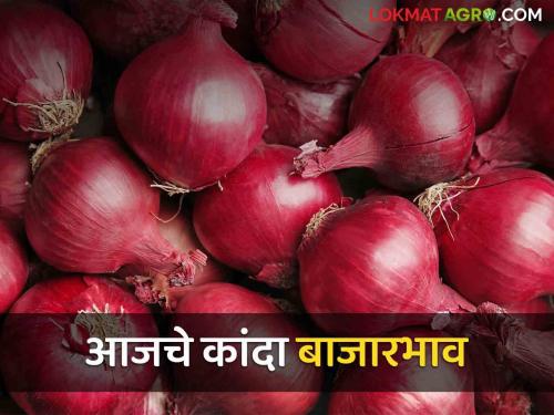 Inflow of 'so many' quintals in Solapur and Nashik market, read today's market price? | Kanda Bajarbhav : सोलापूर आणि नाशिक मार्केटमध्ये 'इतक्या' क्विंटलची आवक, वाचा आजचे बाजारभाव?