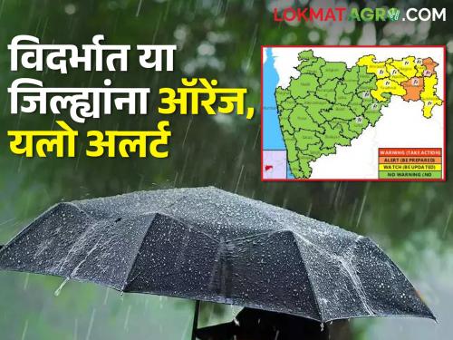 Orange alert in two districts and yellow alert in 6 districts in East Vidarbha today | आज पूर्व विदर्भात दोन जिल्ह्यांत ऑरेंज तर ६ जिल्ह्यांना यलो अलर्ट