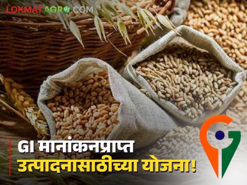 GI tag Product Scheme Is your agricultural product GI rated msamb scheme for agriculture product selling | GI tag Product Scheme : तुमच्या शेतमालाल जीआय मानांकन आहे? मग 'या' योजना तुमच्यासाठी