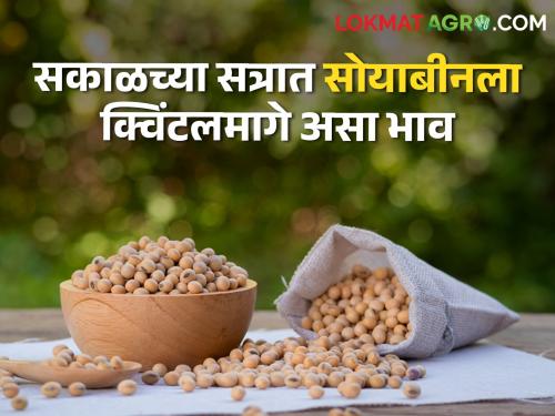 Guaranteed price for soybeans in Parbhani Washim along with Dharashiv, which market committee is getting the price? | धाराशिवसह परभणी, वाशिममध्येही सोयाबीनला हमीभाव, उर्वरित कोणत्या बाजारसमितीत मिळतोय भाव?