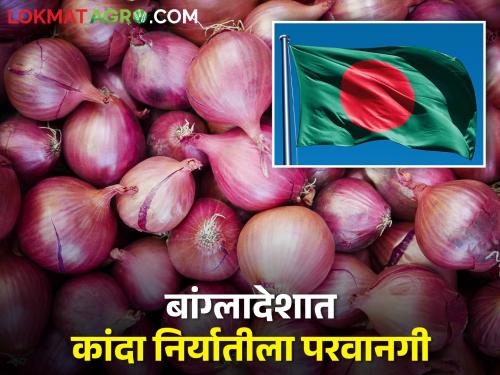 Onion export permit to Bangladesh from NCEL But these are ेेेेेेेेेेेconditions | NCEL कडून बांग्लादेशला कांदा निर्यातीला परवानगी; पण 'या' आहेत अटी