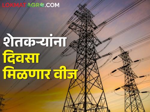 Good news Farmers will get electricity during the day maharashtra government saur krushi vahini scheme 2 | आनंदाची बातमी! शेतकऱ्यांना आता दिवसा मिळणार वीज; सौर कृषी वाहिनी योजनेचे लेटर ऑफ ऑर्डर जारी