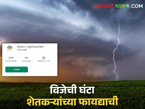 Lightning Alert App: Is your farm at risk of lightning? Damini app of Government of India will come in handy | Lightning Alert App: तुमच्या शेतात वीज पडण्याची शक्यता आहे का? भारत सरकारचा हा ॲप देणार विजेची घंटा!