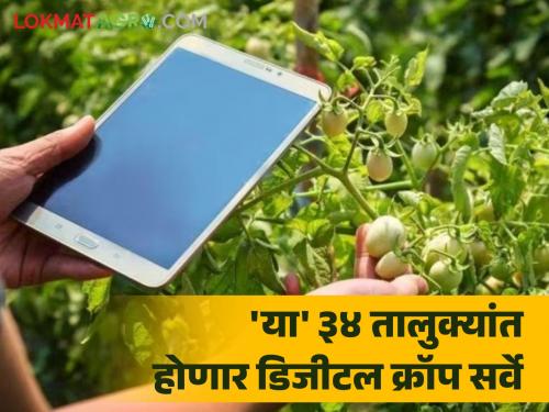 Digital Crop Survey will be conducted in these 34 talukas of the state In other taluks | Digital Crop Survey : राज्यातील या ३४ तालुक्यांत होणार डिजीटल क्रॉप सर्वे; इतर तालुक्यांत होणार ई पीक पाहणी