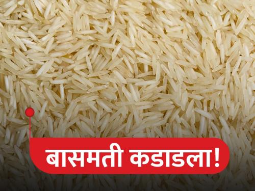 Basmati rice prices increased by 20 percent, how much price for which rice? | बासमती तांदळाचे दर २० टक्क्याने वाढले, कोणत्या तांदळाला किती भाव?