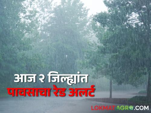 Todays Latest Rain Updates Red alert in 2 districts today Any rain alert in your districts? | Todays Latest Rain Updates : आज २ जिल्ह्यांत रेड अलर्ट! तुमच्या जिल्ह्यांत पावसाचा कोणता अलर्ट?