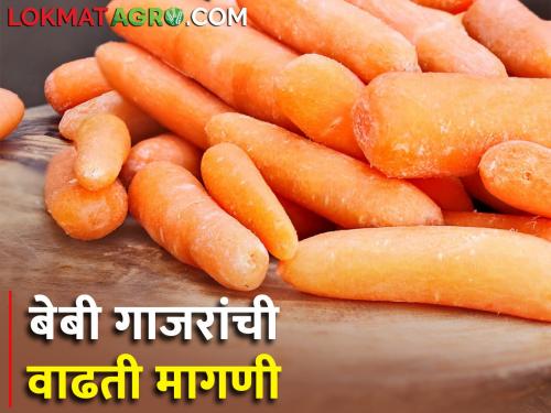 Baby carrots increasing demand in world market | जागतिक बाजारपेठेत बेबी गाजरं खाताहेत भाव, सामान्य गाजरापेक्षा काय वेगळं?