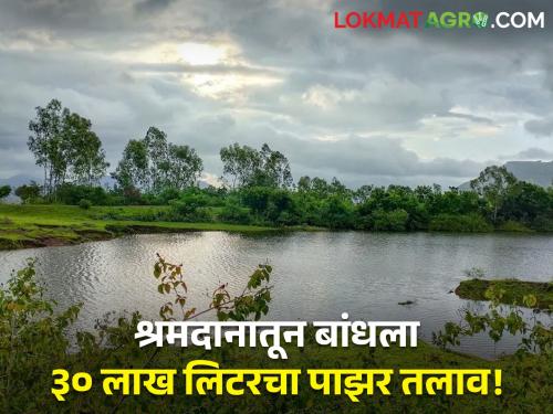 125 youths collected 6000 stones, built a 30 lakh liter percolation pond with labor donations | १२५ तरुणांनी ६ हजार दगडगोटे केले गोळा, श्रमदानातून बांधला ३० लाख लिटर क्षमतेचा पाझर तलाव