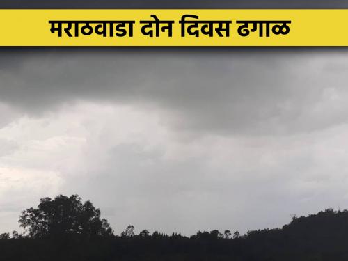 Cloudy weather in Marathwada for two days, how to manage orchards? | मराठवाडा दोन दिवस ढगाळ, फळबागांचे कसे कराल व्यवस्थापन?