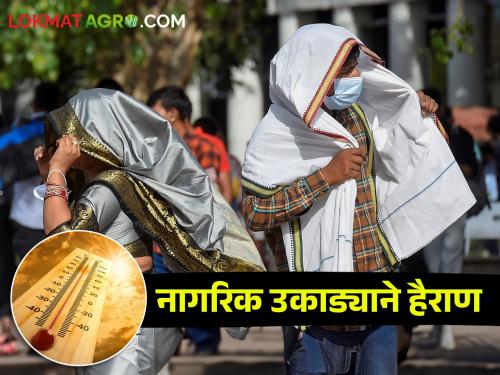 Temperature: Mumbaikars are worried about the heat, these districts are recording the highest temperature today | Temperature: मुंबईकर उकाड्याने हैराण, या जिल्ह्यांमध्ये आज सर्वाधिक तापमानाची होतेय नोंद