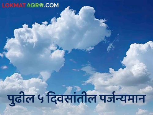 Maharashtra monsoon Rain Where and how much rain will fall in the state in the next 5 days? What are weather warnings? | Maharashtra Rain : राज्यात पुढील ५ दिवसांत कुठे अन् किती पडेल पाऊस? काय आहेत हवामानाचे इशारे?