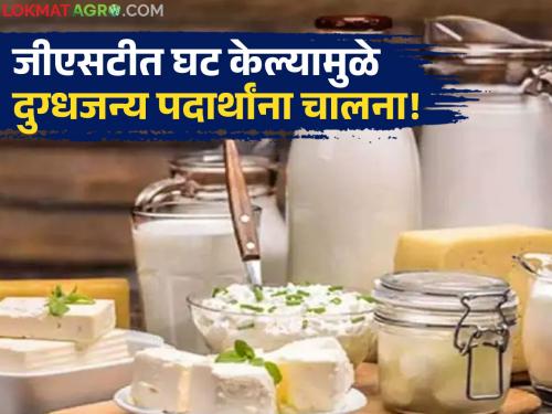 Dairy Products Tax cuts on paneer, ghee, butter, cheese will increase demand; Relief for farmers! | Dairy Product : पनीर, तूप, बटर, चीजवरील कर कपातीमुळे मागणी वाढणार; शेतकऱ्यांना दिलासा!