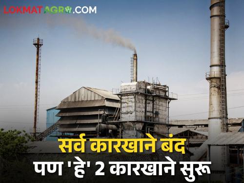 All the sugar factories in the state are closed but only 'these' two sugar factories are still running | राज्यातील सर्व साखर कारखाने बंद पण 'हे' दोनच साखर कारखाने अद्यापही सुरूच