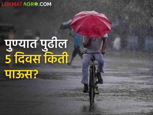 Pune Rain Updates : How much rain will fall in Pune districts in 5 days? What are the weather department warnings? | Pune Rain Updates : पुणे जिल्ह्यांत ५ दिवसांत किती पडेल पाऊस? काय आहेत हवामान विभागाचे इशारे?