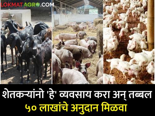 Farmers this business and get subsidy of around 50 lakhs poultry farming goat farming | शेतकऱ्यांनो 'हे' व्यवसाय करा अन् तब्बल ५० लाखांचे अनुदान मिळवा