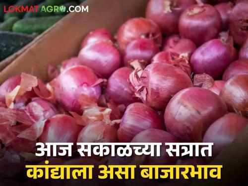 Onion Market Today: In Lasalgaon-Vinchur market committee, summer onion is getting this price per quintal, in other market committees.. | Onion Market Today: लासलगाव- विंचूर बाजारसमितीत उन्हाळी कांद्याला क्विंटलमागे एवढा मिळतोय भाव, उर्वरित बाजारसमितींमध्ये..