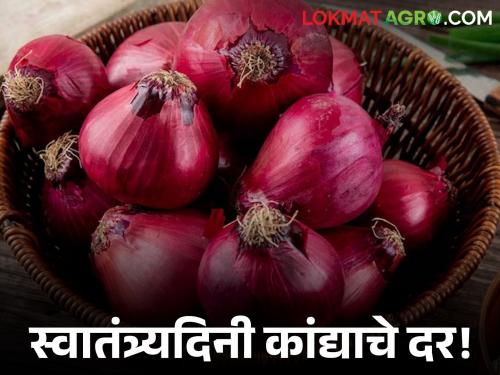 Onion Price: How much did onions get across the state on Independence Day? | Onion Price : स्वातंत्र्यदिनाच्या दिवशी राज्यभरातील कांद्याला किती मिळाला दर?