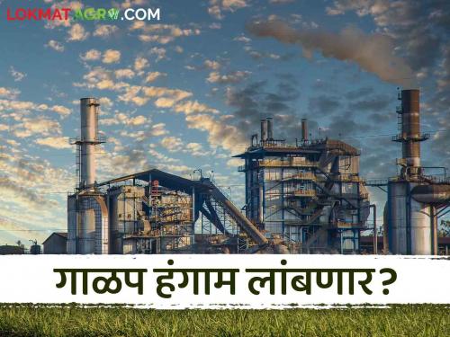 Sugar Factory: Movements to extend the sugar season by 10 days at the state level! The result of the election | Sugar Factory : गाळप हंगाम लांबण्याच्या हालचाली राज्यस्तरावर सुरू! निवडणुकीचा होणार परिणाम