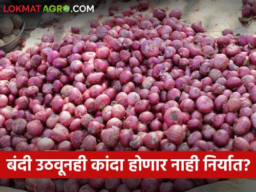 Even if the export ban is lifted, the onion of the farmers will not be exported? | निर्यातबंदी उठवली तरी शेतकऱ्यांचा कांदा होणार नाही निर्यात?