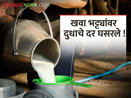 Milk economy in Khawa Bhattaya, producers in trouble due to fall in price. | खवा भट्टयात दूध अर्थकारण आतबट्ट्यात, दर घसरल्याने उत्पादक अडचणीत..