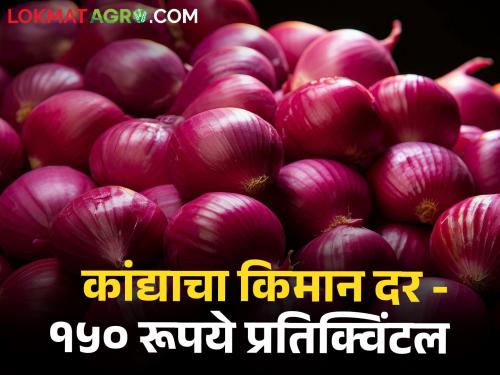 Onion Rates How much onion rate end of financial year 150 rs per quintle | Onion Rates : आर्थिक वर्षाचा शेवटी कांद्याचा किमान दर - १५० रूपये प्रतिक्विंटल! जाणून घ्या राज्यातले दर