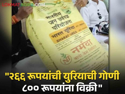 Widespread looting of farmers! A bag of urea worth 266 rupees is being sold for 800 rupees Sting Operation | शेतकऱ्यांची सर्रास लूट! २६६ रूपयांची युरियाची गोणी ८०० रूपयांना होतेय विक्री | Sting Operation