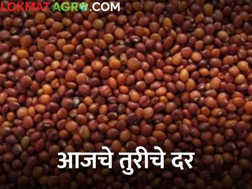 maharashtra agriculture farmer market yard tur rates price | आज तुरीला किती मिळाला दर? जाणून घ्या सविस्तर