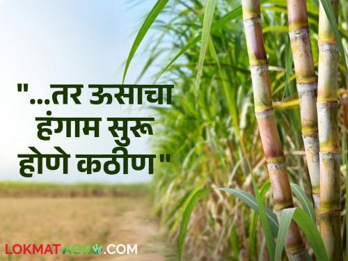 Sugar Factory Pay the farmers or the season will be difficult to start Season start date announced | Sugar Factory : "शेतकऱ्यांचे पैसे द्या अन्यथा हंगाम सुरू होणे कठीण"; हंगाम सुरू होण्याची तारीख जाहीर, पण...