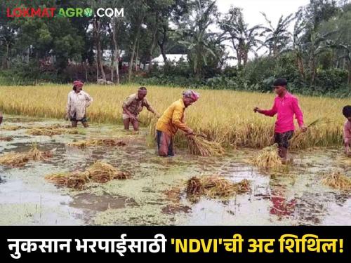 Requirement of “Normalized Difference Vegetation Index” for compensation due to natural calamities | Crop Damage : नैसर्गिक आपत्तीमुळे झालेल्या नुकसान भरपाईसाठी “सामान्यकृत फरक वनस्पती निर्देशांक”ची अट काढली