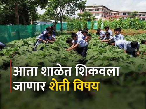 Agriculture subject in school curriculum in the state from next academic year | पुढील शैक्षणिक वर्षापासून राज्यातील शालेय अभ्यासक्रमात कृषी विषय