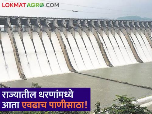 Dam Water Storage: In the face of summer, the state's dam storage is half! How much water in which dam? | Dam Water Storage: उन्हाळ्याच्या तोंडावर धरणसाठा निम्म्यावर! कोणत्या धरणांत किती पाणी?