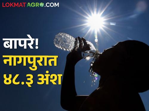Today's Temperature: 48.3 in Nagpur! Highest temperature recorded in the state today | बापरे, नागपुरात 48.3! राज्यात आज सर्वाधिक तापमानाची नोंद
