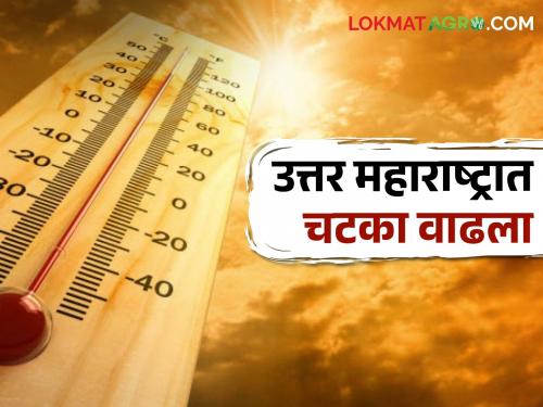 Temperature: The temperature has risen in North Maharashtra, see how the temperature is in your district.. | Temperature: उत्तर महाराष्ट्रात तापमानाचा पारा भडकला, पहा तुमच्या जिल्ह्यात कसे आहे तापमान..