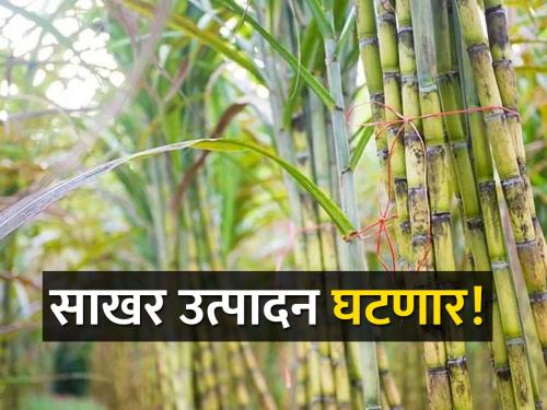 When will the fall season start? Know how many factories are allowed | गळीत हंगाम कधी सुरू होणार? किती कारखान्यांना परवानगी, घ्या जाणून