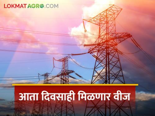 In the coming Kharif season, farmers will get daytime electricity, solar power project on 4000 hectares | येत्या खरीप हंगामात शेतकऱ्यांना मिळणार दिवसा वीज, ४००० हेक्टरवर सौरऊर्जा प्रकल्प